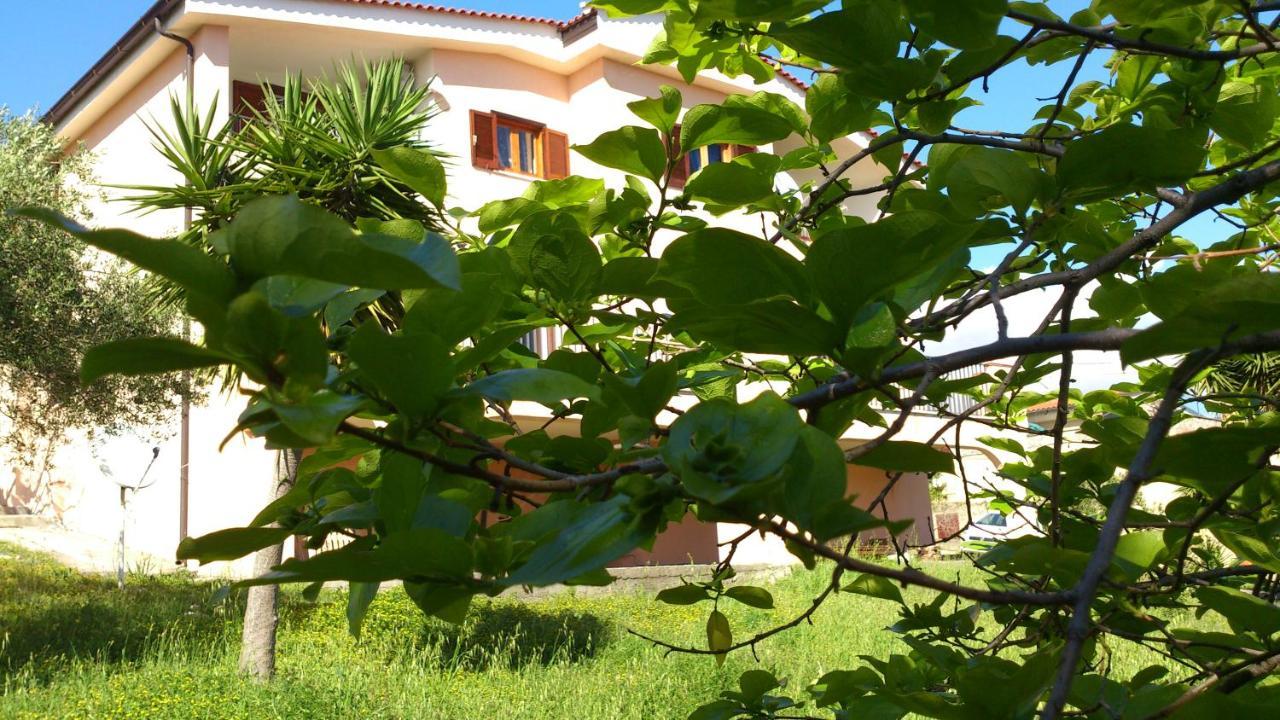 マリーナ・ディ・カメロータ Borgo Marinaro Bed & Breakfast エクステリア 写真